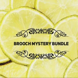 🎀 5 Brooch Exciting Surprise Mystery Bundle 🎁